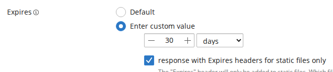 The Expires setting in Plesk with Enter custom value selected, the value set to 30, the units dropdown showing days, and the static-files-only checkbox ticked