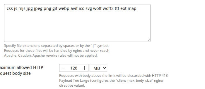 The file extensions box in Plesk containing the assets-only list, above Plesk’s own caution that requests for these files never reach Apache and Apache rewrite rules will not be applied