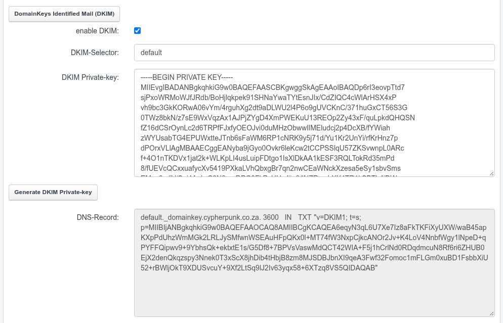 The DKIM section of the ISPConfig mail domain form after key generation, with the DKIM Private-key field filled and the read-only DNS-Record field showing the public key record