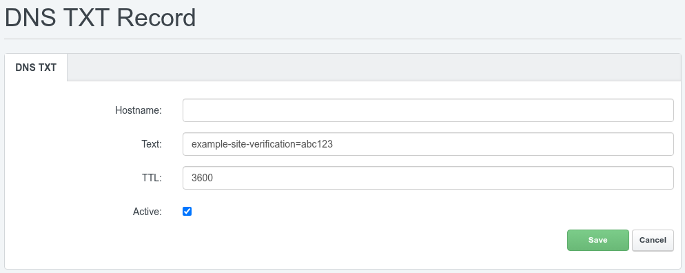 ISPConfig TXT record form with a verification string entered in the Text field