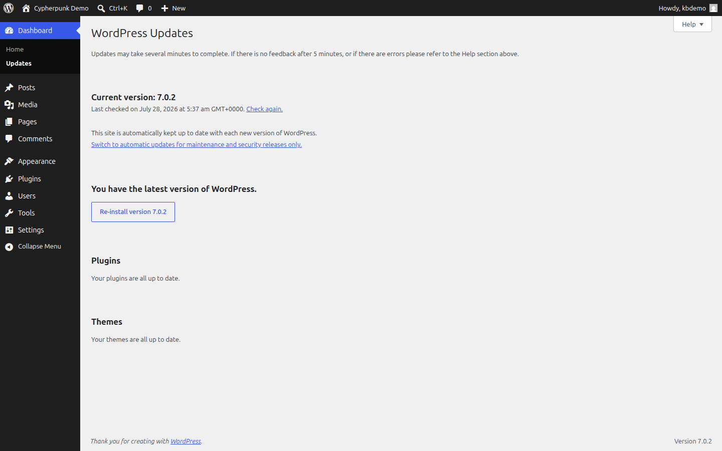 The WordPress admin Dashboard Updates screen listing available updates for core, plugins and themes with checkboxes and update buttons