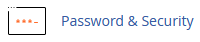 The Password and Security icon in the Preferences section of cPanel