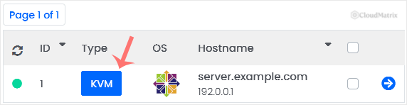 The Virtualizor List VPS page showing the Type column with the virtualisation technology for each VPS