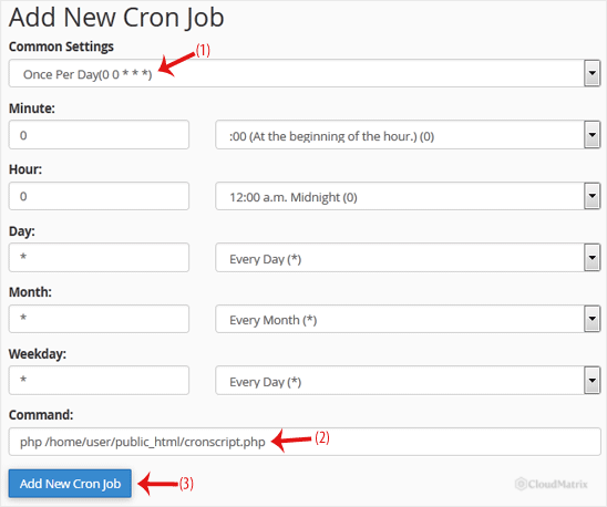 cPanel Add New Cron Job form with the Common Settings drop-down and Command field