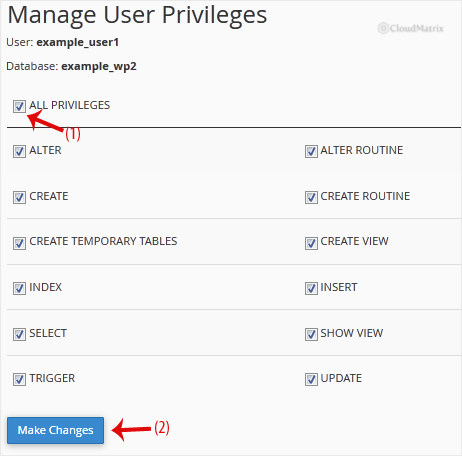 The Manage User Privileges page with the ALL PRIVILEGES checkbox ticked