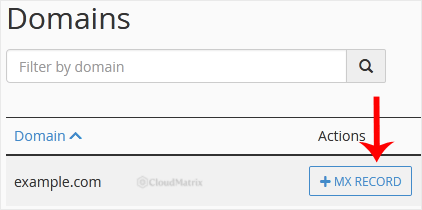 The cPanel Zone Editor domain list showing the A Record, CNAME Record, MX Record, DNSSEC and Manage actions beside each domain