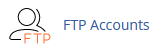 The FTP Accounts icon in the Files section of cPanel