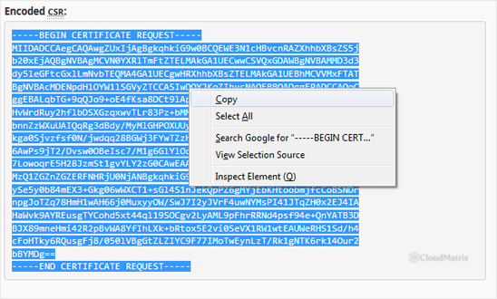 Encoded certificate signing request text ready to copy from cPanel