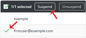 The DirectAdmin FTP Management account list with an FTP account selected and the Suspend action available