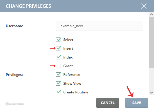 The DirectAdmin Modify Privileges screen with privilege checkboxes for a database user and the Change button