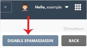 The red Disable SpamAssassin button at the top right of the DirectAdmin SpamAssassin Setup page