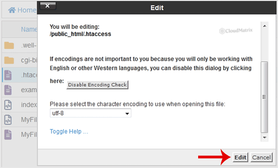 The File Manager edit confirmation dialog