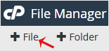 The + File button on the cPanel File Manager toolbar