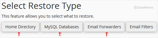 Select Restore Type options in the cPanel Backup Wizard: Home Directory, MySQL Databases, and Email Forwarders and Filters