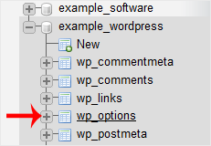 The list of tables inside a WordPress database in phpMyAdmin, with the wp_options table selected
