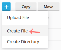 Create File option under the plus icon in the Plesk File Manager
