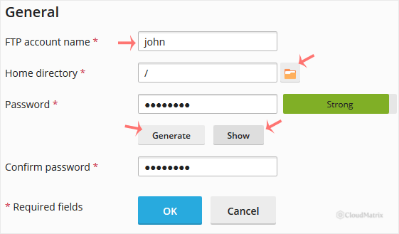New FTP account form in Plesk showing account name, home directory and password fields