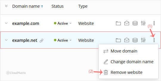 Plesk domain context menu with the Remove Website option highlighted