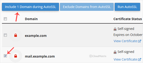 The SSL/TLS Status page with domains selected and the Include domains during AutoSSL button highlighted