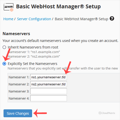 The Nameservers section of WHM Basic WebHost Manager Setup with Explicitly Set the Nameservers chosen and custom nameserver hostnames entered
