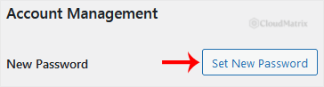 Account Management section of the WordPress profile screen showing the Set New Password button