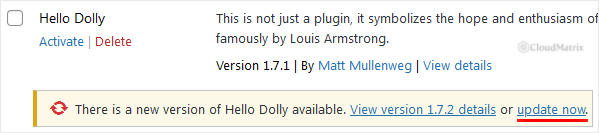 WordPress Installed Plugins list showing an available update notice for the edited plugin with an Update now link
